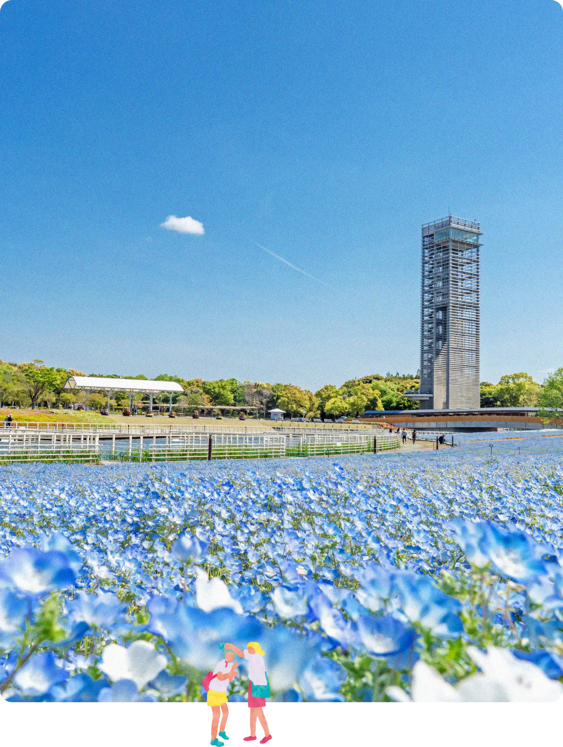 浜名湖 花フェスタ