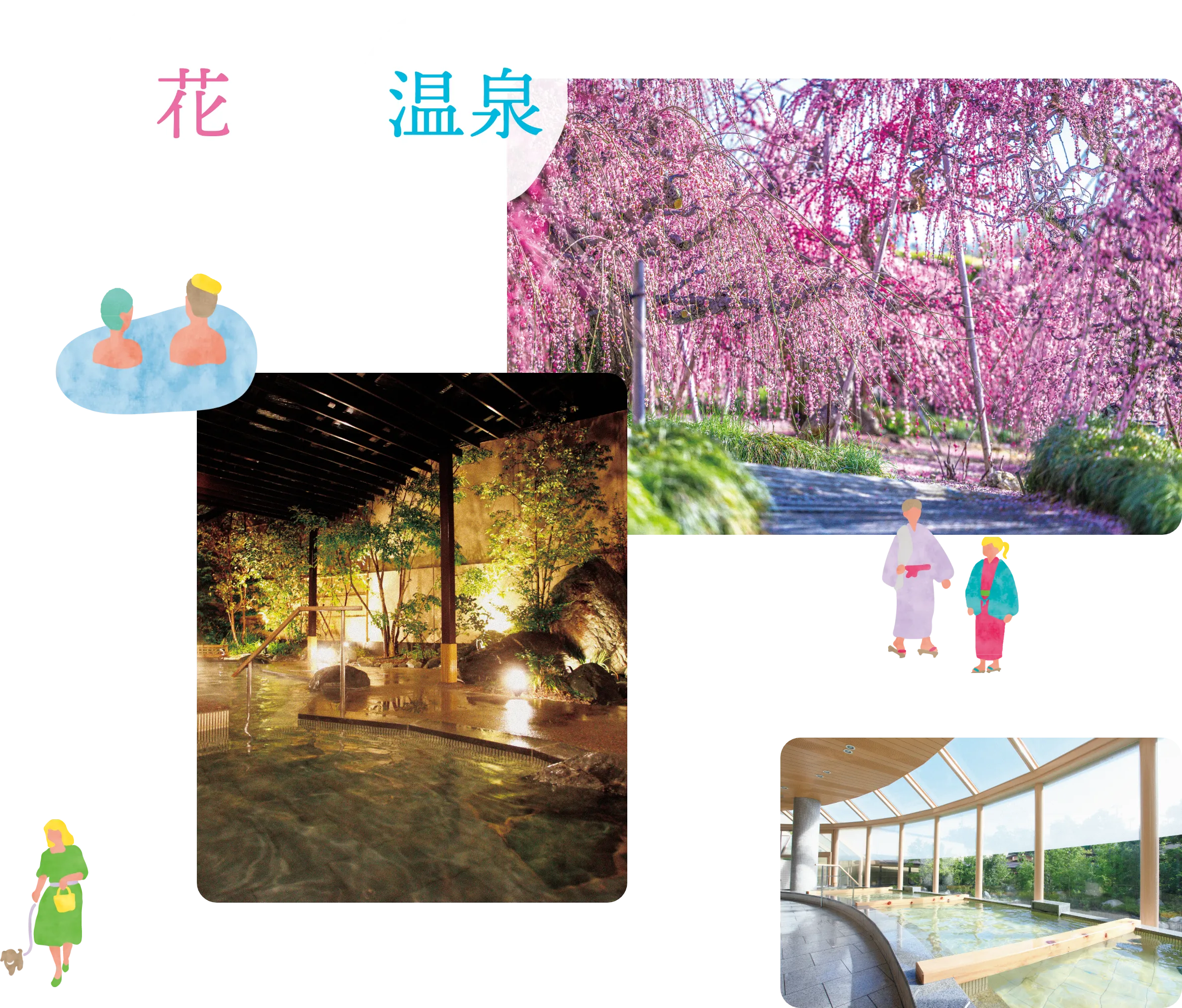 浜名湖 花フェスタ