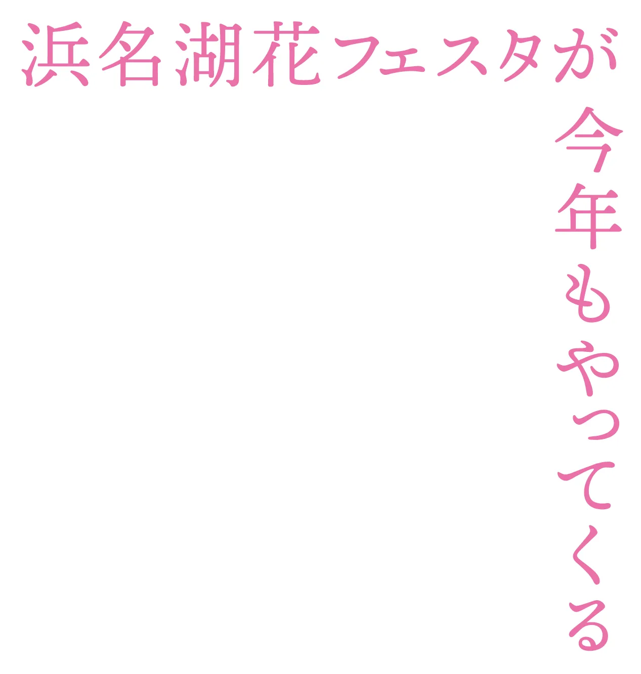 浜名湖花フェスタが今年もやってくる