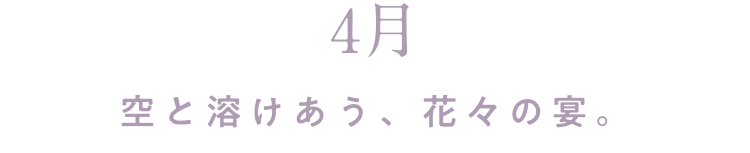 4月 空と溶けあう、花々の宴。