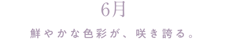 6月 鮮やかな色彩が、咲き誇る。。