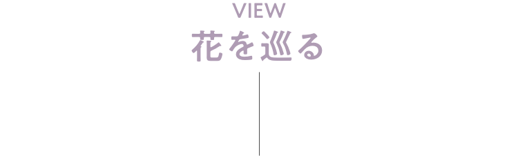 VIEW 花を巡る