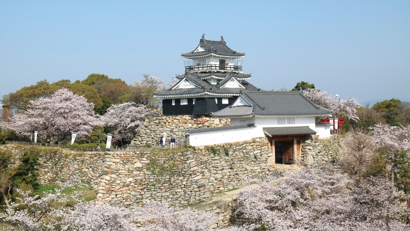 徳川二六〇年の礎は浜松城で築かれた