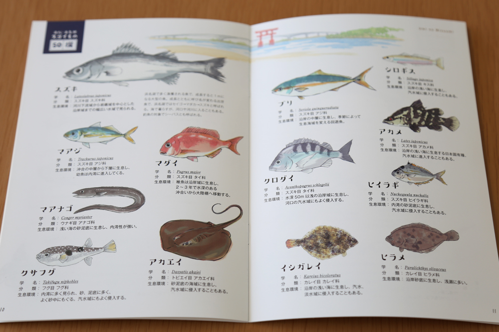 浜名湖ってどんなところ 海の湖教科書 魚介編 販売中 浜松 浜名湖観光情報サイト 浜松 浜名湖だいすきネット