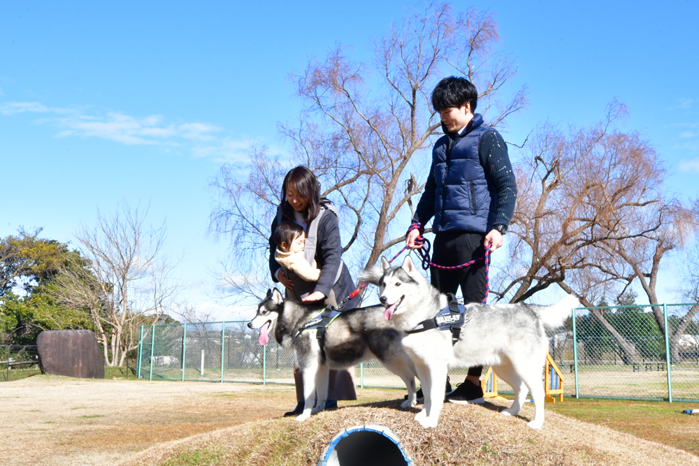 【浜名湖観光 犬同伴】愛犬家の街「浜松」でワンちゃんと過ごす特別な時間 浜松わんこ旅｜浜松・浜名湖だいすきネット