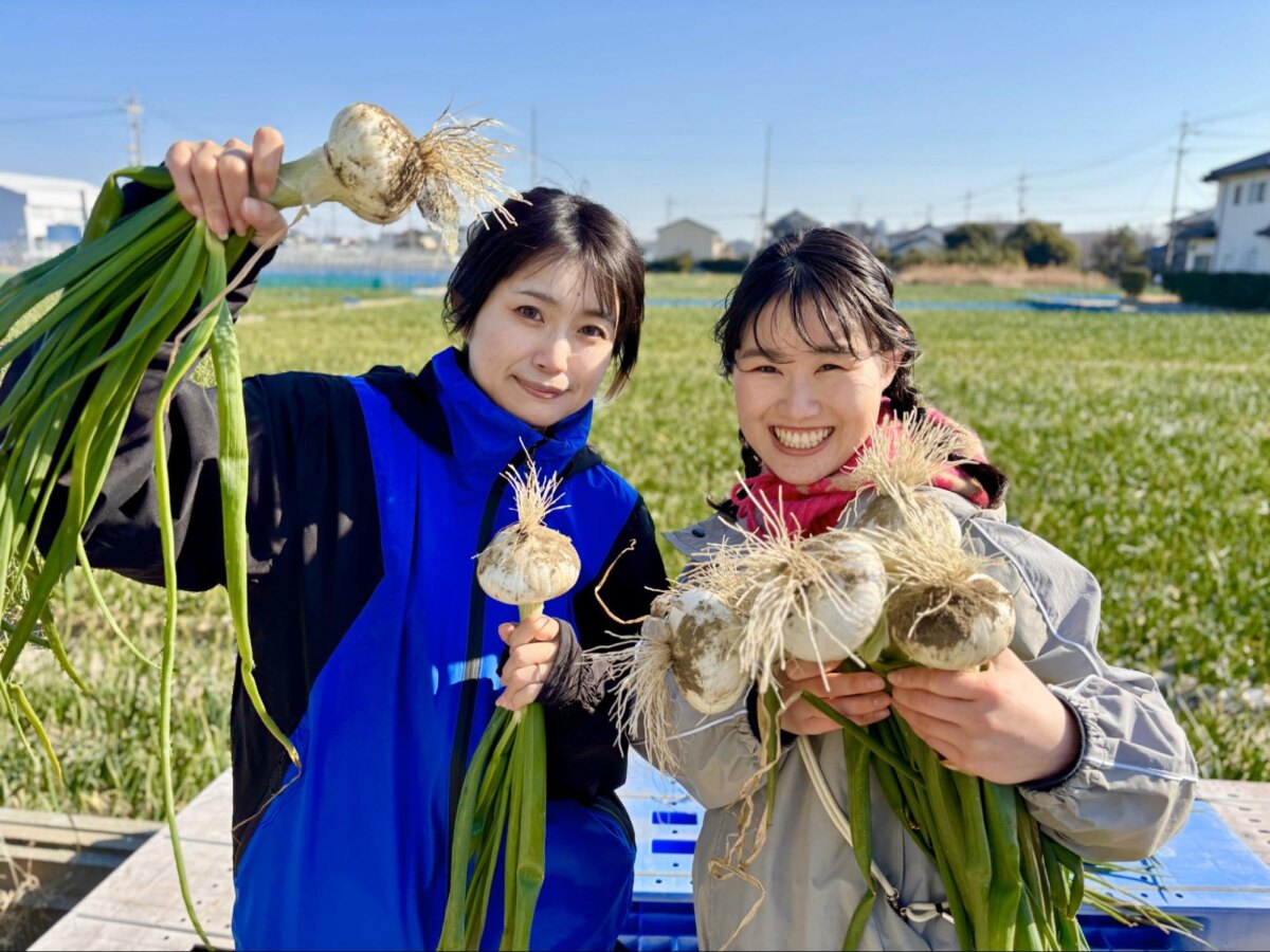 国内最速の新白玉ねぎ『プレミアムホワイト』生でも辛くない芳醇な甘み