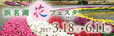 浜名湖花フェスタ　2017年