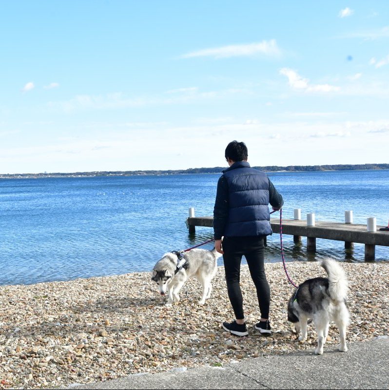 浜名湖観光 犬同伴】愛犬家の街「浜松」でワンちゃんと過ごす特別な