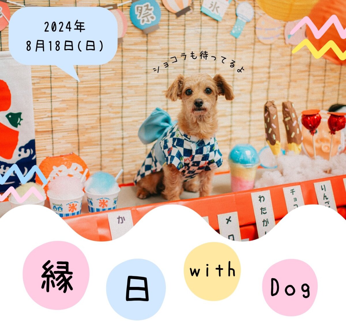 イベント情報】8/18（日） 縁日 with Dogs | 浜松わんこ旅｜浜松・浜名